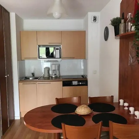 T2, 4 Pers., Parking, Piscine Couverte, Salle De Fitness, Proche Pistes Et Centre Station - Fr-1-404-329 アパート *